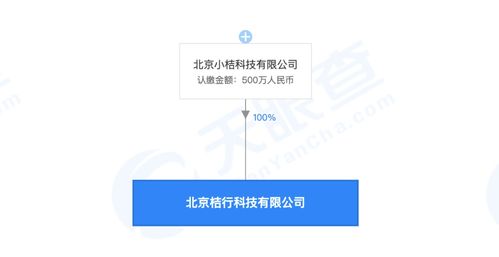 滴滴成立桔行科技公司，注冊資本500萬元，聚焦信息技術咨詢服務